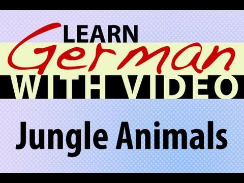 Learn German with Video Common Animals
