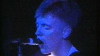 New Order &#39;Lonesome Tonight&#39; Live