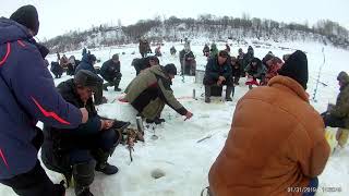 Ловля рыбы на западной двине в полоцке