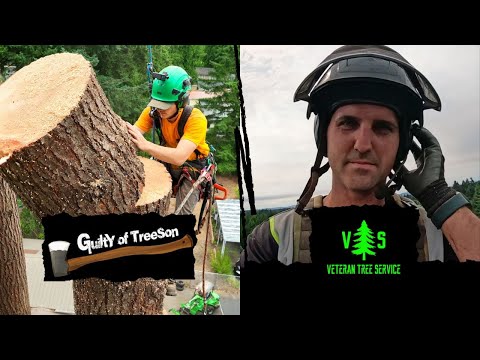 VTS and Guilty of Treeson Team Up to Remove This 165+ Foot Tree!