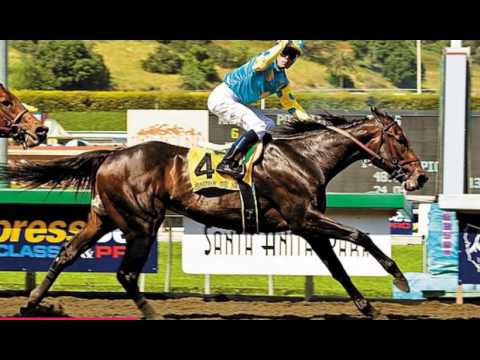 Progeny of Empire Maker - Horse Lovers