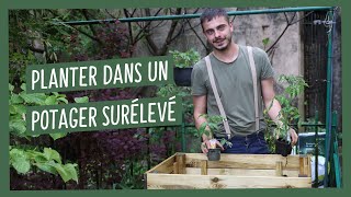 Mes conseils pour planter dans un potager surélevé, comment faire 