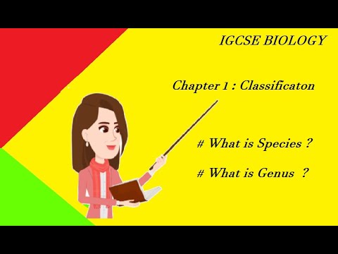 What is Species | Species & Genus | IGCSE Biology |...