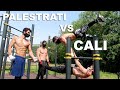 SFIDO I DUE CAMPIONI MONDIALI DI CALISTHENICS! PALESTRATI VS CALISTHENICI! 2 VS 1!