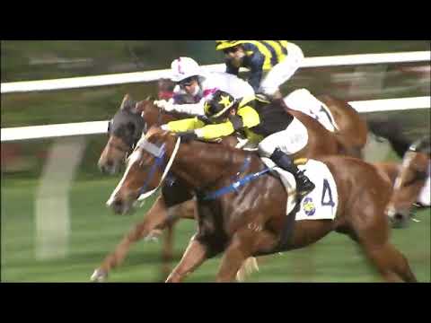 19/1/2022 (347) Tailor Made- J Moreira