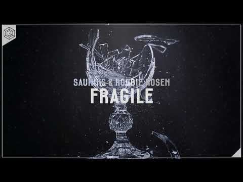Sauniks & Robbie Rosen - Fragile