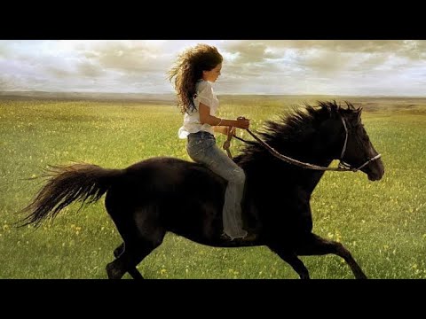 Flicka Full Movie Facts And Review | Alison Lohman | Tim McGraw