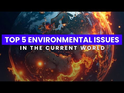 Top 5 Environmental Issues In The Current World