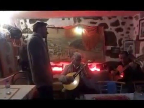 Fado Pedro Rodrigues   -   Rui Amador