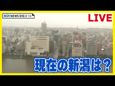 新潟市街のライブカメラ映像