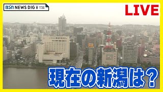 【ライブカメラ】現在の新潟の様子｜24H Live streaming from NIIGATA City [JAPAN] live webcam