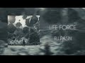 RJ Pasin Life Force 8d Audio