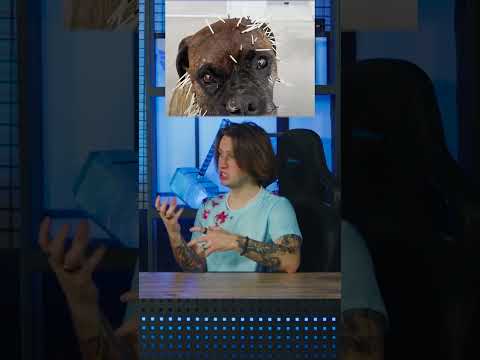 Jak walczy JEŻOZWIERZ?