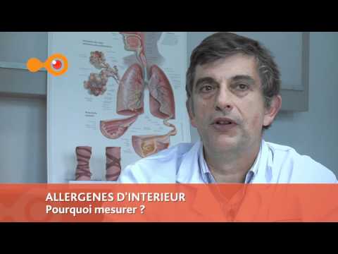 comment prendre mesure d'un chien