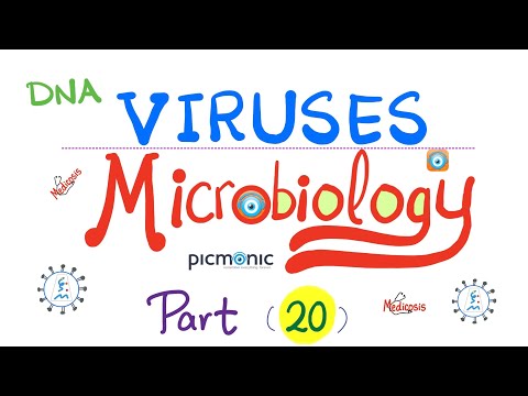 Picmonic Microbiology - Virology - DNA Viruses - Pox, Polyoma, Papillomavirus (HPV), Parvo, HBV 