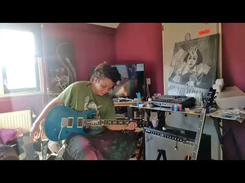 Harley Benton cst24 compared to a PRS SE standard