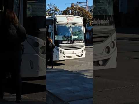 Empresa San Pedro de Colalao Coche 73 "El Nuevo". Provincia de Tucumán