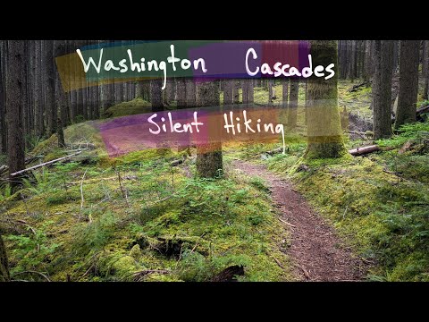 Peaceful Hiking in the Washington Cascades - Middle Fork Snoqualmie Pratt River Trail