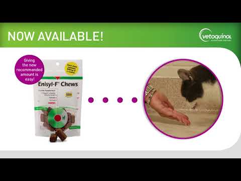 Enisyl-F Lysine Treats (6.35 oz) Video