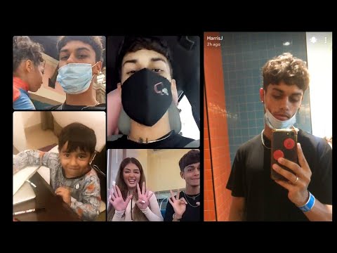 Harris J Snap story 16 March