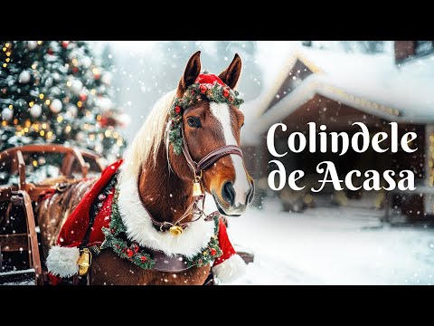 Colindele de Acasă 🎄❤️ 2026 – Cântecele Copilăriei Românești