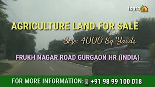  Agricultural Land for Sale in Farrukhnagar, Gurgaon