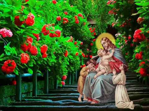 Suwanda Sapiri.. සුවඳ සපිරි..