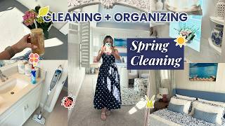 Spring Cleaning Starts NOW! Cleaning & Decluttering for a Fresh Home!