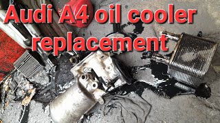 Audi A4 oil cooler replacement. /Audi A4 oil cooler change /Audi A4 oil cooler location
