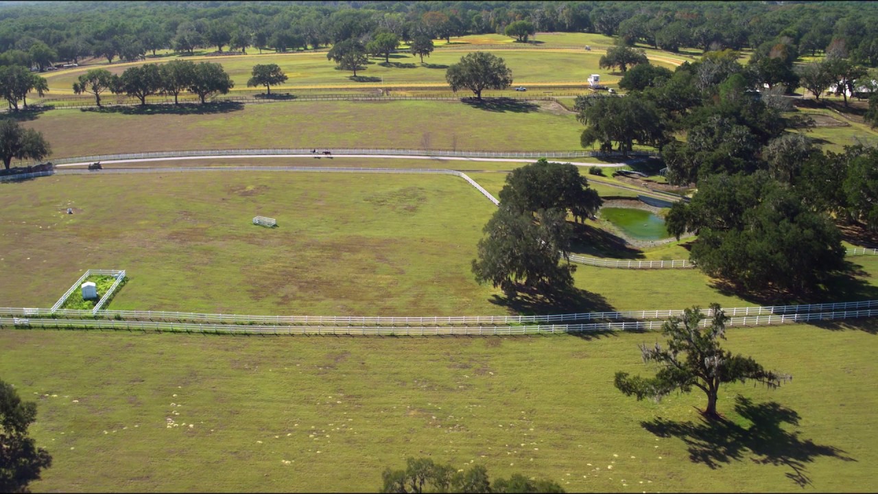 Tour Awe Inspiring Ocala Horse Farms Visit Florida
