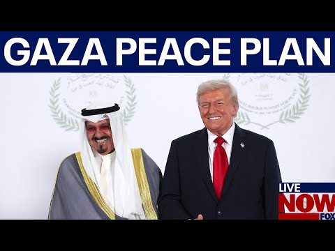 Video | Gaza peace plan update