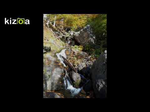 Kizoa Movie - Video - Slideshow Maker: Just a perfect day