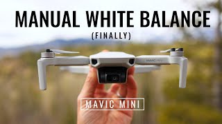 DJI Mavic Mini Manual White Balance (Finally!!)