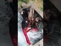 Village Life Girls Bathing On Tubewell Viral Videos Reality Videos