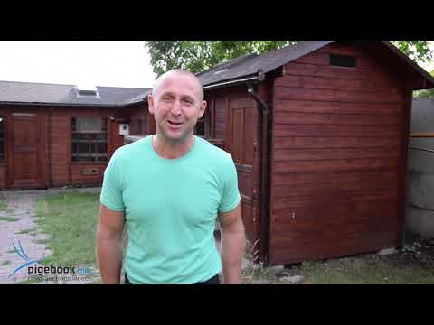 Piotr Bugała - PZHGP 0153 Ruda Śląska II / 3 Gołębie Z Brukseli !