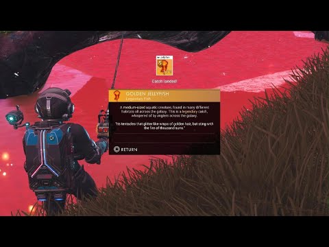 No Man's Sky fis 11
