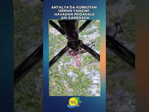 Antalya'da korkutan orman yangını! Havadan müdahale anı kamerada