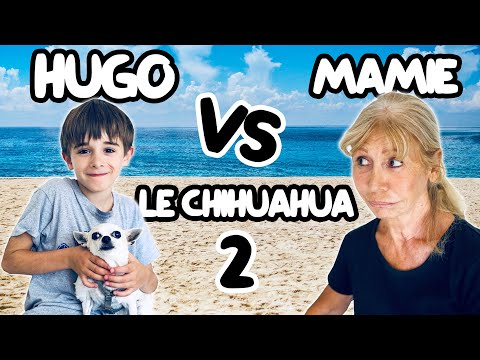 Quand HUGO retrouve MAMIE... Et son CHIHUAHUA - Angie la Crazy Série Video