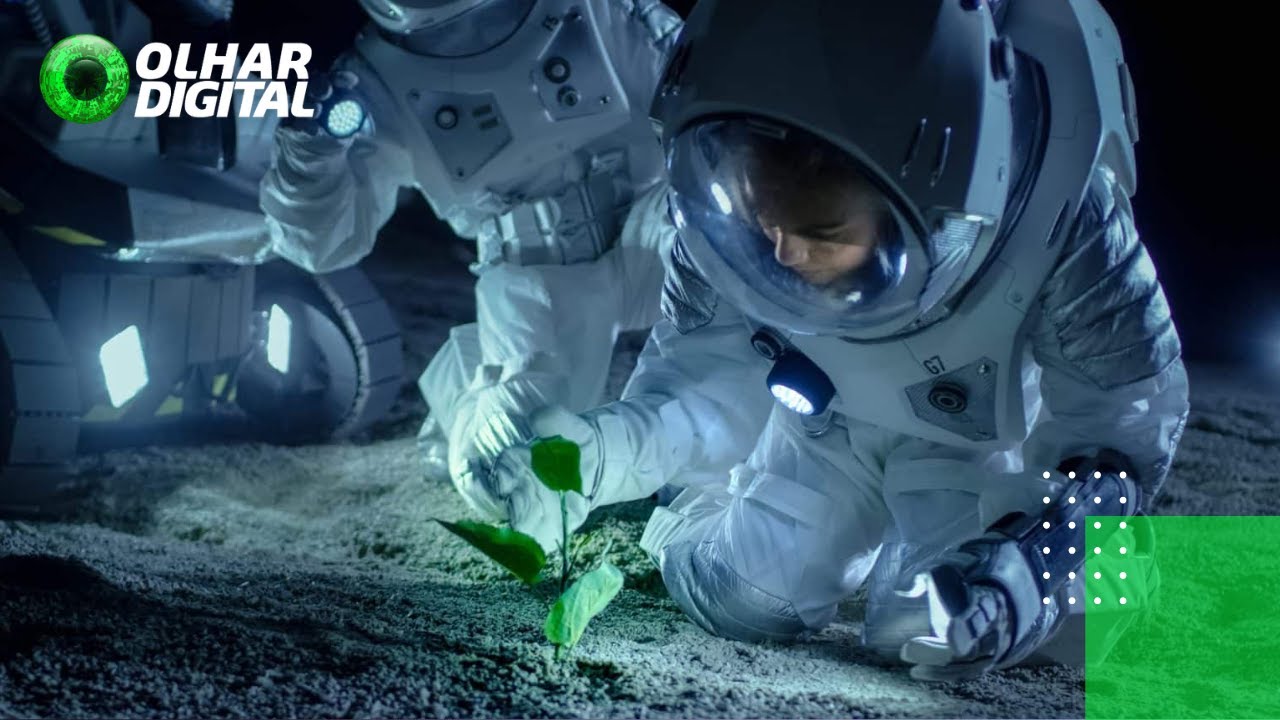 Alimentos crescem melhor na Lua do que em Marte