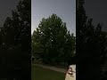 IMG 2