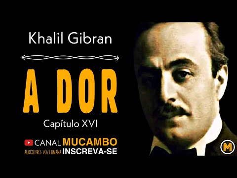 16 - A DOR | O PROFETA - KHALIL GIBRAN | Audiolivro - Voz humana.