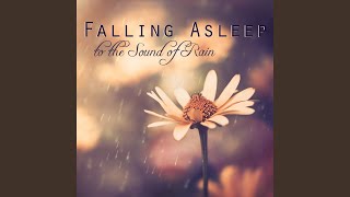 Sleeping Music & Nature Sounds