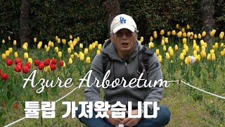 하늘빛수목정원 여행스토리 youtube 홍보영상