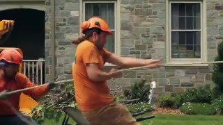 High Country Tree Service: Brand Story