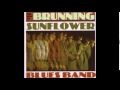 Brunning Hall Sunflower Blues Band (feat.Peter Green) ~ '' If You Let Me Love You'' 1969