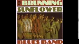 Brunning Hall Sunflower Blues Band (feat.Peter Green) ~ '' If You Let Me Love You'' 1969