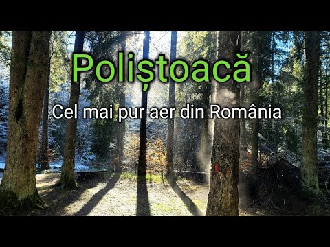 Poliștoacă în ianuarie, 2023 - Predeal