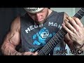 PAPA ROACH - BETWEEN ANGELS AND INSECTS Guitar Cover By Kevin Frasard