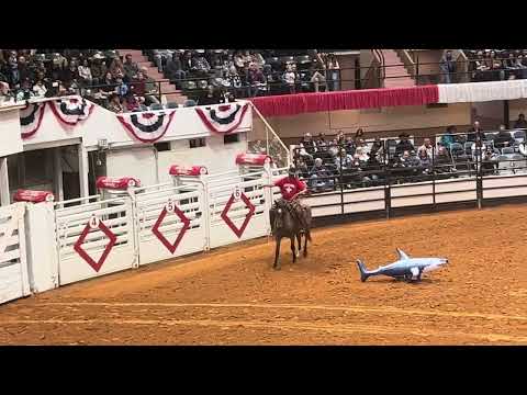 Ryan Rose and Marley, Top 10 finalists in Mustang Magic 2025