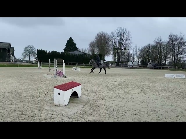 Fils de Colombus,un joli potentiel pour le complet
